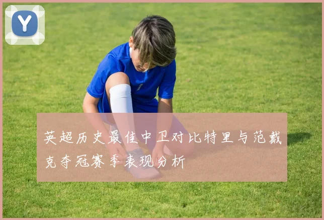 英超历史最佳中卫对比特里与范戴克夺冠赛季表现分析